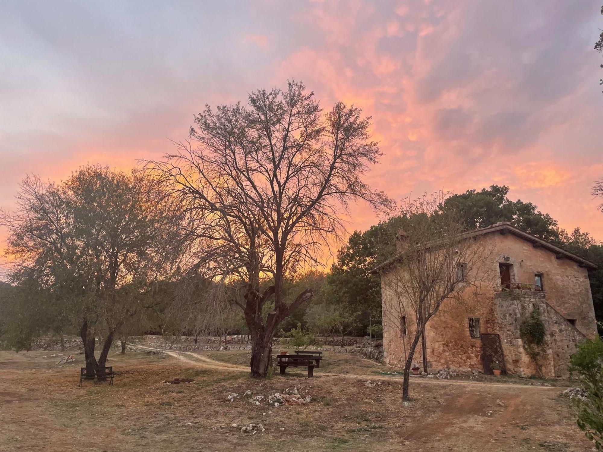 Agriturismo Il Caggio Sovicille Exterior foto